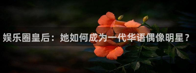 乐游模拟器