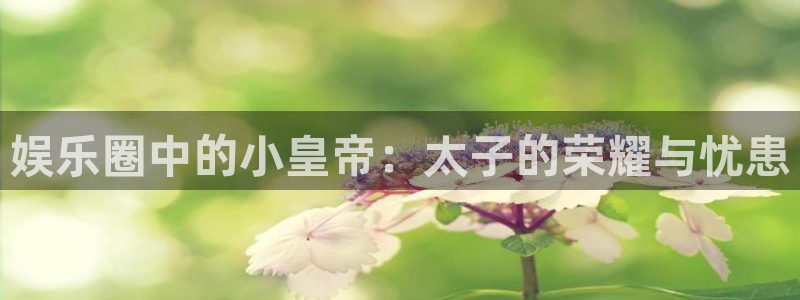 乐游棋牌安卓版