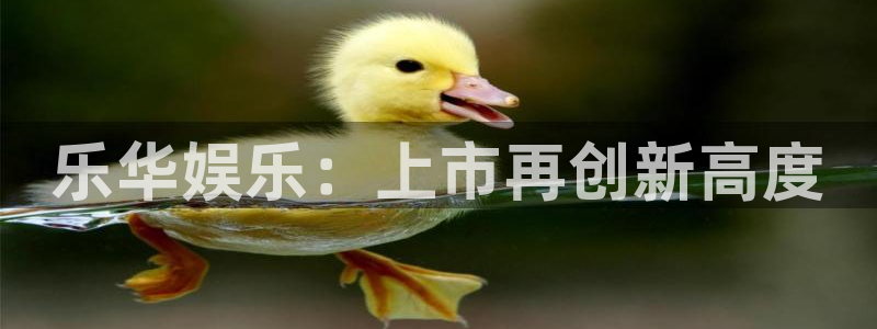 乐游棋牌安卓版