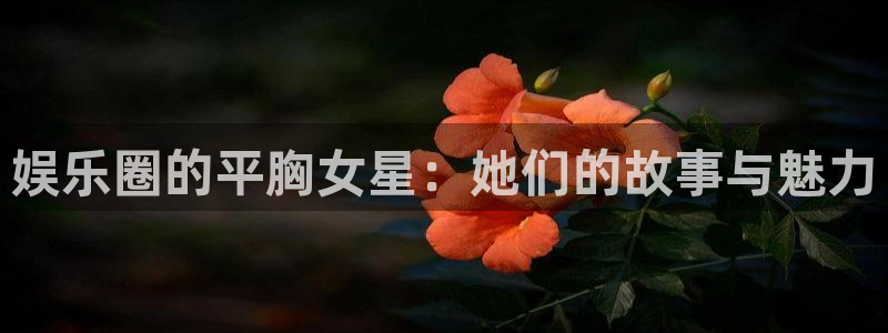 乐游官网入口