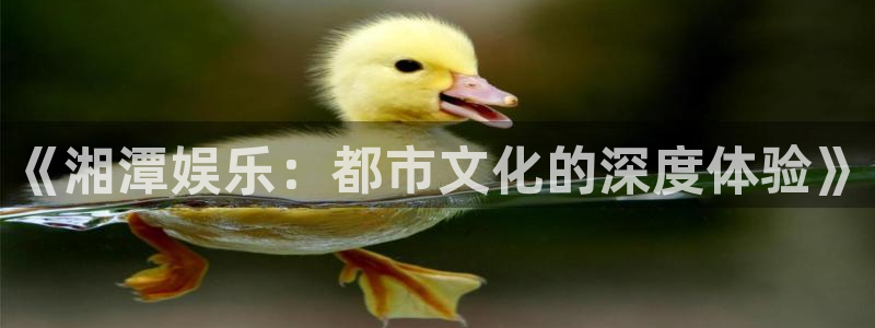 乐游棋牌地址